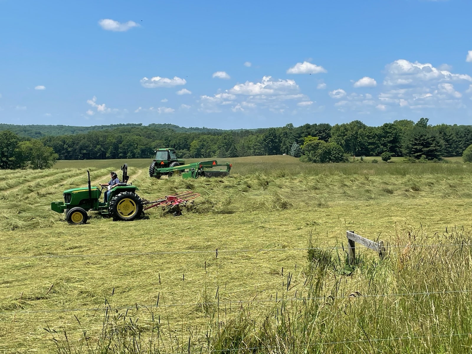 Five W Ranch