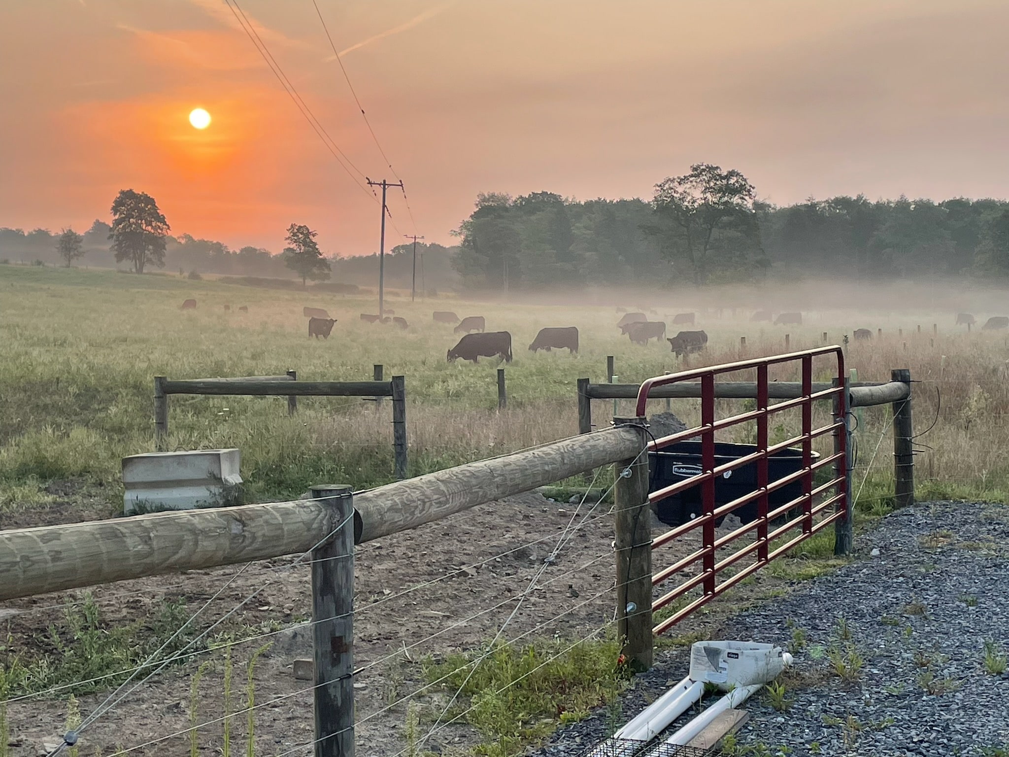 Five W Ranch