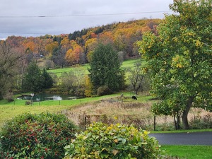 Five W Ranch
